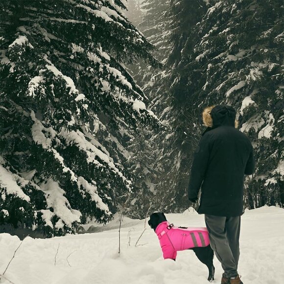 Dog Winter Jacket with Harness Waterproof Dog Snowsuit Reflective Turtleneck Dog - Picture 8 of 8